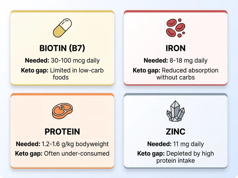 Infographic showing common nutrient deficiencies on keto that contribute to hair loss: biotin, iron, protein, and zinc