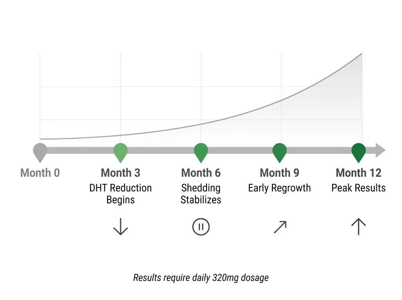 Timeline infographic showing realistic saw palmetto results from 3 months to 12 months of daily use